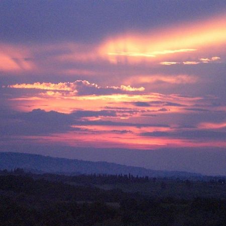 Agriturismo Il Girasole San Gimignano Extérieur photo