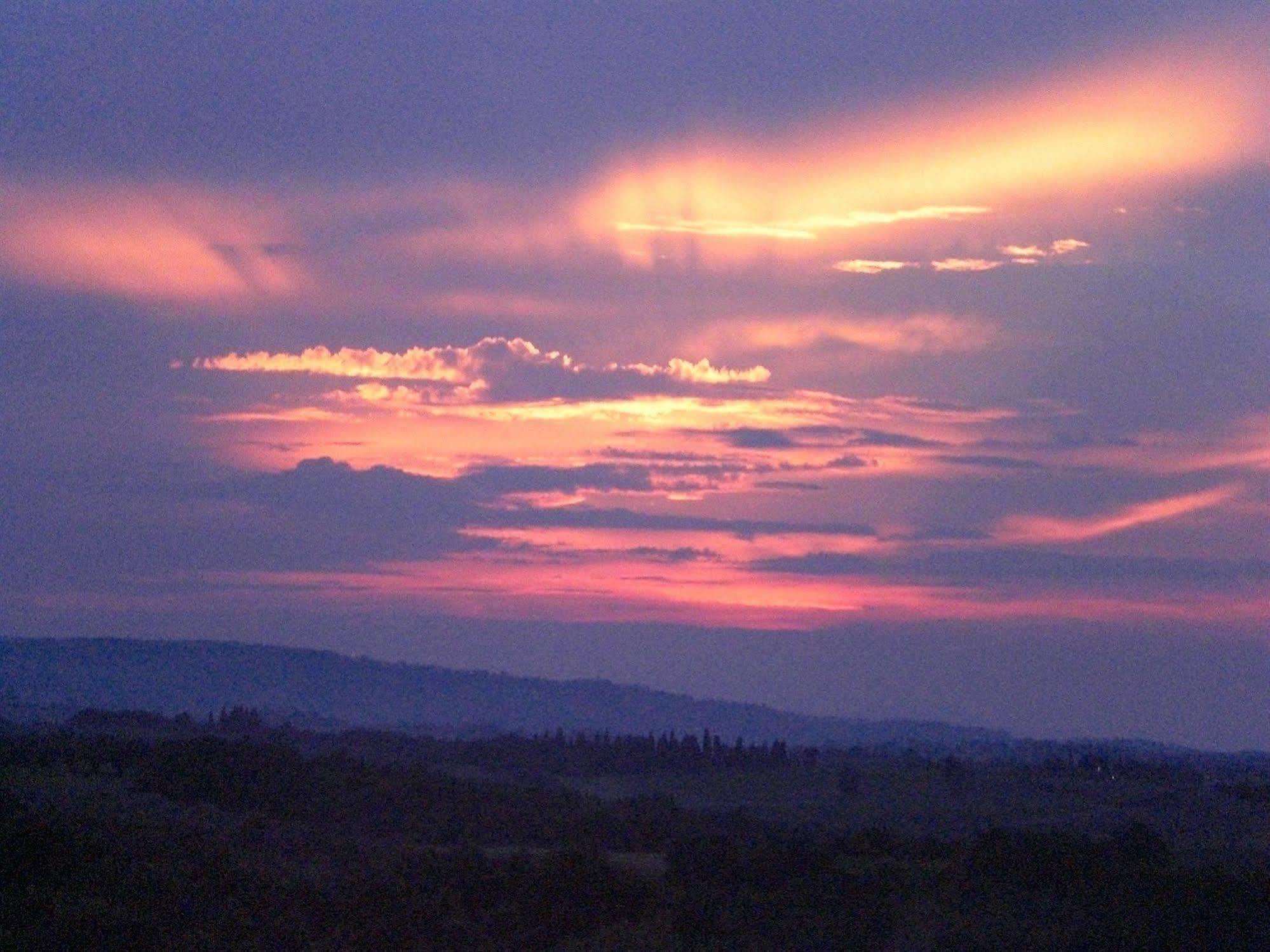 Agriturismo Il Girasole San Gimignano Extérieur photo